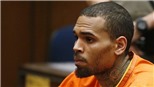 Chris Brown bị bắt ở Pháp vì cáo buộc hiếp dâm, có thể đi tù 15 năm