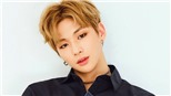 Công ty quản lý tiết lộ kế hoạch solo sắp tới của Kang Daniel