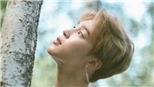 Jimin BTS bất bại về giá trị thương hiệu cá nhân, vượt xa Kang Daniel