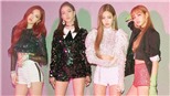 Bất chấp lượng fan hùng hậu của BTS, Black Pink vẫn là bá chủ kpop trên Youtube