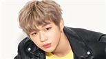 Kang Daniel bị tố hành xử thô lỗ như du côn, đường trở lại kpop thêm gập ghềnh