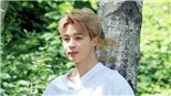 Hài hước: Jimin BTS quá đẹp trai khiến nữ quay phim bối rối đến đứng hình