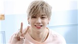 Kang Daniel đã sẵn sàng tung album mới, fan chuẩn bị ‘đau tim’