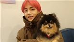 Fan phát hiện V BTS có khả năng đặc biệt giống chú cún Yeontan của anh