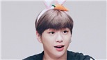 ‘Vỡ tim’ vì phản ứng của Kang Daniel trước yêu cầu của fan 