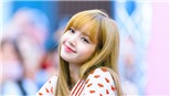 Lisa Blackpink thân thiết với nhiều thần tượng Kpop đồng hương Thái Lan