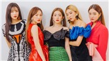 Một người đàn ông giở trò đồi bại ngay giữa màn biểu diễn của Red Velvet