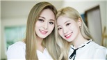 Dahyun Twice trúng tiếng sét ái tình với Tzuyu ngay lần đầu gặp mặt