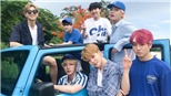 ARMY đua nhau google cách hóa cừu sau hình ảnh siêu dễ thương này của BTS