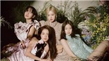 Fan phẫn nộ với dự án mới của Blackpink mà YG đưa ra