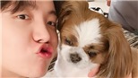 J-Hope BTS khăng khăng về tình cảm của thú cưng khiến ARMY cười nghiêng ngả