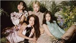 Bác sĩ thẩm mỹ lên tiếng về các nghi vấn dao kéo ở Blackpink, nhất là Lisa