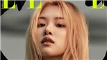 Rose Blackpink đẹp ma mị trong bộ ảnh mới trên Elle