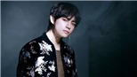 Hình ảnh đẹp nhất của V BTS theo fan bình chọn, hóa ra giản dị vậy