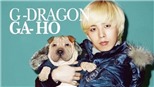 Thú cưng của G-Dragon Bigbang bị gia đình bỏ bê, ngược đãi