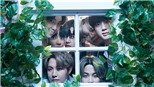 BTS tung chuyện ‘thâm cung bí sử’ trước khi phát hành album tiếng Nhật thứ 4