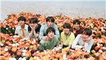 Nhìn hình ảnh quảng bá mới của BTS mà muốn tới Seoul liền