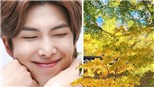 RM BTS đi du lịch, ARMY ngập trong sắc thu