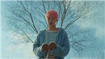 BTS vừa xác nhận giả thuyết bi kịch đứng sau ca khúc ‘Spring Day’?