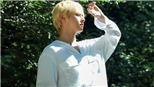 Tiết lộ thân phận gốc u ám của V BTS trong ARMY Zip