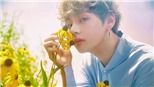 V BTS vô tình đi phòng tranh, lão họa sĩ không bao giờ quên