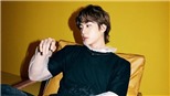 Jin BTS giờ vẫn chật vật mỗi ngày, sợ là gánh nặng của BTS