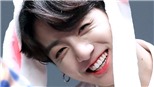 Phát hờn với cách Jungkook BTS vuốt ve âu yếm động vật