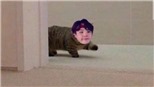 Sốc trước lý do Suga BTS mê mèo nhưng không dám nuôi