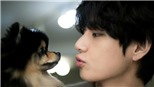 Cún cưng Yeontan của V BTS sinh nhật bằng loạt sự kiện thiện nguyện rầm rộ  