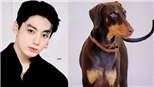 Jungkook BTS thật sự yêu thú cưng đến thế này