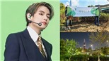 Fan BTS trồng ‘Rừng Taehyung’ xanh mướt gần sông Hàn
