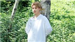 Jimin BTS được truyền thông phương Tây ví như thiên thần chữa lành