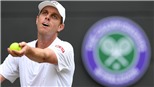 Lịch thi đấu, trực tiếp Wimbledon hôm nay (30/6/2021)