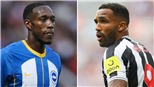 Soi kèo nhà cái Brighton vs Newcastle. Nhận định, dự đoán bóng đá Ngoại hạng Anh (21h00, 13/8)
