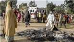 Nigeria: Phiến quân phục kích sát hại nhiều binh sĩ và dân thường