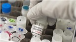 Philippines thử nghiệm thuốc điều trị COVID-19 - Nam Phi bước vào giai đoạn 2 thử nghiệm vaccine NVX-CoV2373 