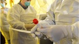 Mỹ: FDA cho phép sử dụng xét nghiệm kháng nguyên virus SARS-CoV-2 đầu tiên