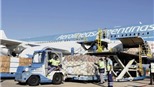 Nguy cơ Argentina thiệt hại hàng tỷ USD do lệnh cấm bay kéo dài