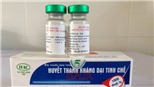 Vắc xin phòng dại 'cháy hàng', người dân hoang mang trông chờ... số mệnh 
