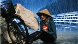 Hari Won bán ve chai trong MV mới, khóc dưới mưa khi bị người yêu phụ bạc