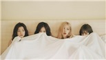 Fan sắp được ngắm Blackpink đã mắt qua sách ảnh sắp phát hành