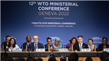 WTO đạt đồng thuận về gói thỏa thuận thương mại lịch sử