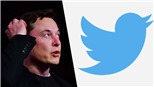 Elon Musk hủy thương vụ mua Twitter: Đôi bên đều thiệt hại