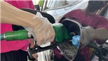 Chiều 29/7, giá dầu châu Á biến động nhẹ