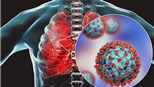 Virus SARS-CoV-2 và ảnh hưởng đến hệ thống sinh sản nam giới