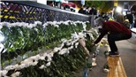 Người dân Hàn Quốc ra đường cầu nguyện cho các nạn nhân sự cố Itaewon