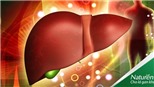 Nhậu mùa nóng và bí quyết bảo vệ sức khỏe gan