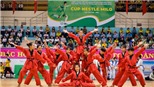 Khởi tranh vòng chung kết giải bóng đá Hội khỏe Phù Đổng Cúp Milo 2019