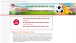 VFF nói gì khi vé bán kết AFF Cup Việt Nam vs Philippines bán sạch sau vài phút?