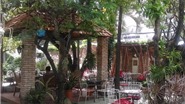 Uống cafe giữa không gian xanh & sống &#39;chậm&#39; giữa Sài Gòn ồn ã